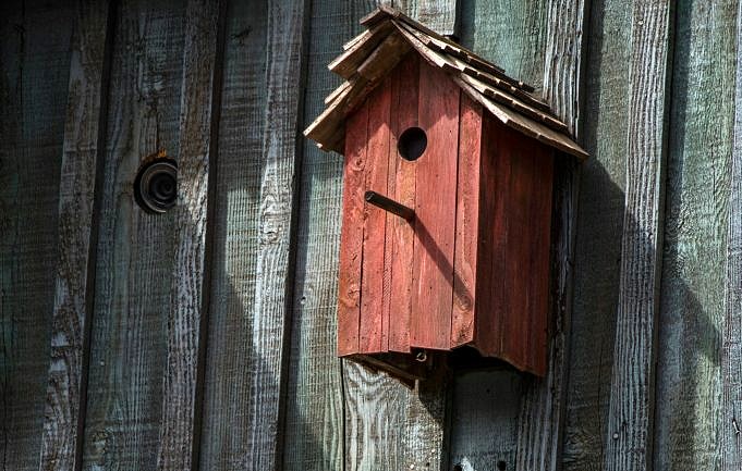 12 Progetti Di Case Per Uccelli Wren Che Puoi Costruire Oggi Con Le Immagini