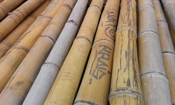 Costruzione dei fogli di bambù Nest