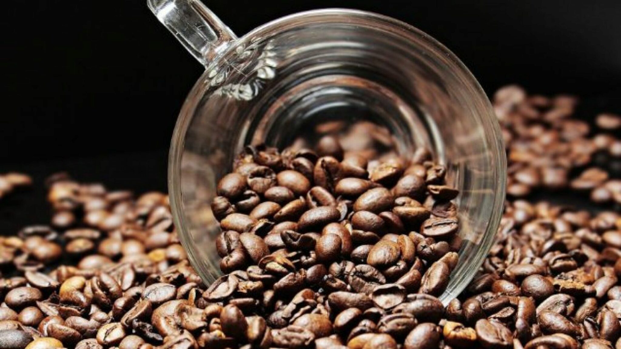 Qual e La Durata Di Conservazione Del Caffe Preparato